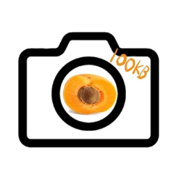 Ícone de Apricamera 100KB Compress Cam